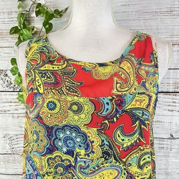 Robbie Bee Tunic Dress size 12 Pink Yellow Paisley Sheer A Line Lagenlook Boho - Picture 5 of 16